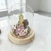 Cristal Natural Reino Secreto de la Naturaleza Flor Preservada Cúpula de Cristal Paisaje Miniatura Planta en Maceta Hecho a Mano Decoración Creativa para el Hogar