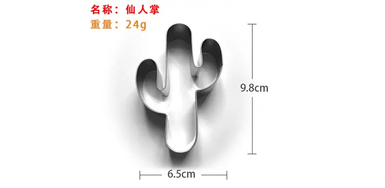 仙人掌详情.jpg