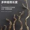 Terrario para reptiles paisajismo madera esquina de pestañas de serpiente caja de gecko lagarto trepador doble corona plataforma para tomar el sol patrón de dragón madera muerta