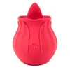Vibrador de caballero sarga palo de masaje vibrador bala recargable vibrador de onda Messenger dispositivo de masturbación femenina
