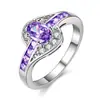 Zhen Rong Nuevo Anillo de Rubí para Mujer Joyería de Mano Europea y Americana Transfronteriza Moda Amatista Anillo de Diamantes Joyería Mujer