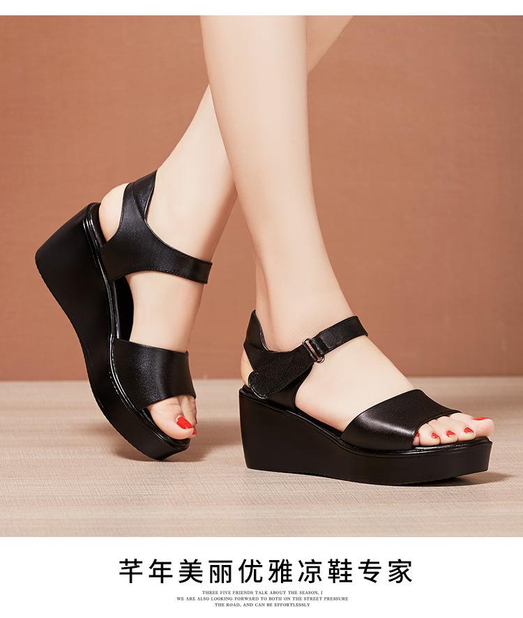 详情_13.jpg