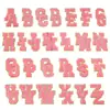 Especialista en Parches Bordados de Toalla, Parches Bordados de Letras Brillantes de Moda, Parches Bordados de Toalla de Moda Creativa