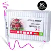 Caneta Marcadora Acrílica de Ponta Dupla com Corpo Redondo para Madeira Pedra Grafite Tênis Caneta de Grafite Artística DIY Caneta Aquarela para Estudante