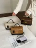 Nueva bolsa de nicho transfronteriza para mujer 2026, bolso de hombro y bandolera, a la moda y única, bolso de mano de caja de moda para el día a día