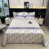 Conjunto de Tapetes Refrescantes de Seda de Gelo para o Verão, Tapete Macio, Tapete de Ar Condicionado, Lençol de Cama Doméstico, Lavável à Máquina, Tapete de Presente, Comércio Atacadista do Fabricante