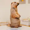 2026 Modelo Nuevo Almohada de Peluche Divertida con Forma de Animal y Patrón de Impresión Digital, Almohada Casera Casual y Cómoda