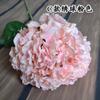 Fundo de Casamento com Flores Decoração de Parede de Flores Guia de Estrada Flores de Mesa Decoração de Mesa de Centro para Sala de Estar Quarto Hortênsia Única Artificial Alta