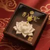 Colgante Difusor de Piedra para Aromaterapia con Yeso Hojas Aromáticas Regalo Aromaterapia para Armario Fragancia Colgante Aromaterapia Caja de Regalo para el Hogar