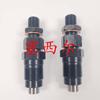 Adecuado para inyector de motor de maquinaria de ingeniería 1G49153002 1903-3015 1G49153002