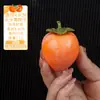 Fabricante Personalizado al Por Mayor Modelo de Caqui Simulado Fruta Falsa Adornos para Ventana Accesorios para Fotografía Decoración de Frutería