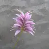 Planta Verde Simulada Hojas Ricas Lugar de Reunión de Boda Material de Ajuste Suave Fondo Camino Flor de Inserción Liderar Flor de Seda Hotel Flor Decorativa