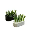 Caja hidropónica para verduras, caja de cultivo casera sin tierra, kit hidropónico para cultivar cebolletas, cilantro, ajo y otras plantas