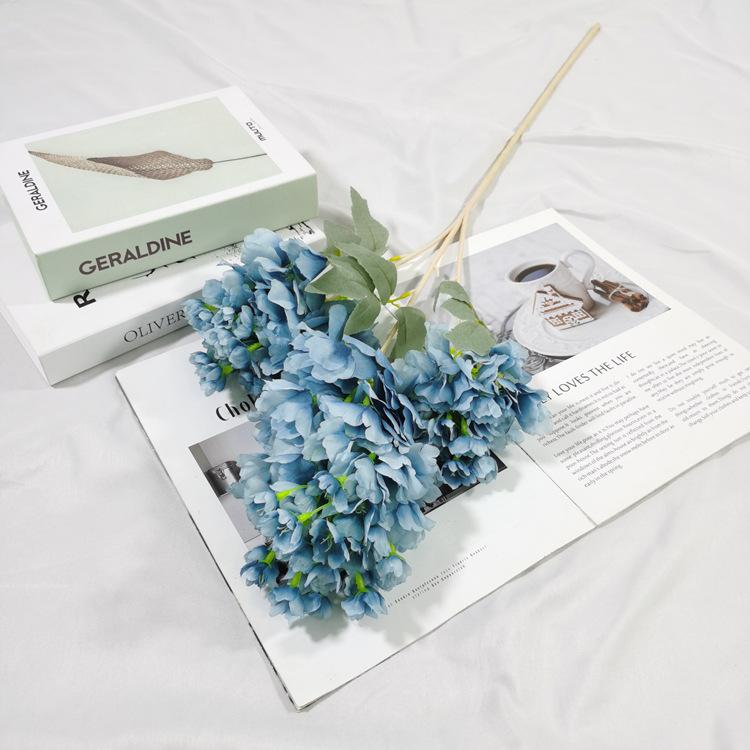 IMG_20220224_152458_副本