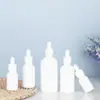 5-100ml atacado porcelana branca vidro frasco de óleo essencial embalagem de cosméticos frasco conta-gotas branco escuro frasco de essência líquida