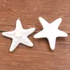 7 Cores 57X60mm Acessórios de Resina DIY Charme Oceânico Estrela do Mar Colorida Dopamina Pingente Acessórios para Capa de Celular Bolsa