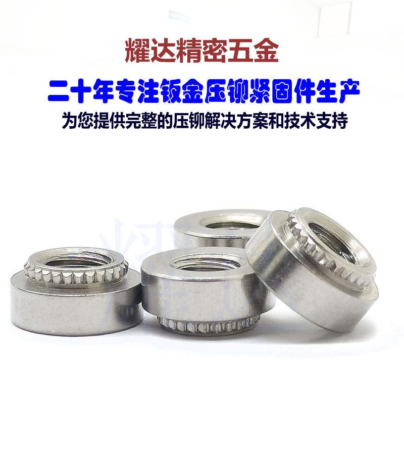 挤压螺丝详情_01.jpg