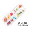 Nuevo Estilo Japonés y Coreano Arte de Uñas Flor Seca 12 Margarita Grácil Narciso Pegatina de Pollo Flor de Color Joyería para Uñas Transfronterizo