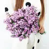 Directamente de Yunnan Nomeolvides Gypsophila Flores Reales Semisecas Secadas al Aire Naturalmente Flores Conservadas Regalo Adorno para Sala de Estar Mesa de Comedor