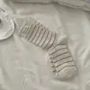 Meias Femininas para Primavera e Outono, Meias Tendência Estilo Miu de Cano Médio, Meias Casuais Coloridas com Listras Finas, Meias Listradas Retrô