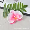 Flor de Orquídea Phalaenopsis Cabeça de Flor Simulação de Filme Impressa em 3D Flor Artificial Lembrancinhas de Festa de Casamento Decoração de Caixa de Doces Acessório de Cabeça DIY Presilha de Cabelo