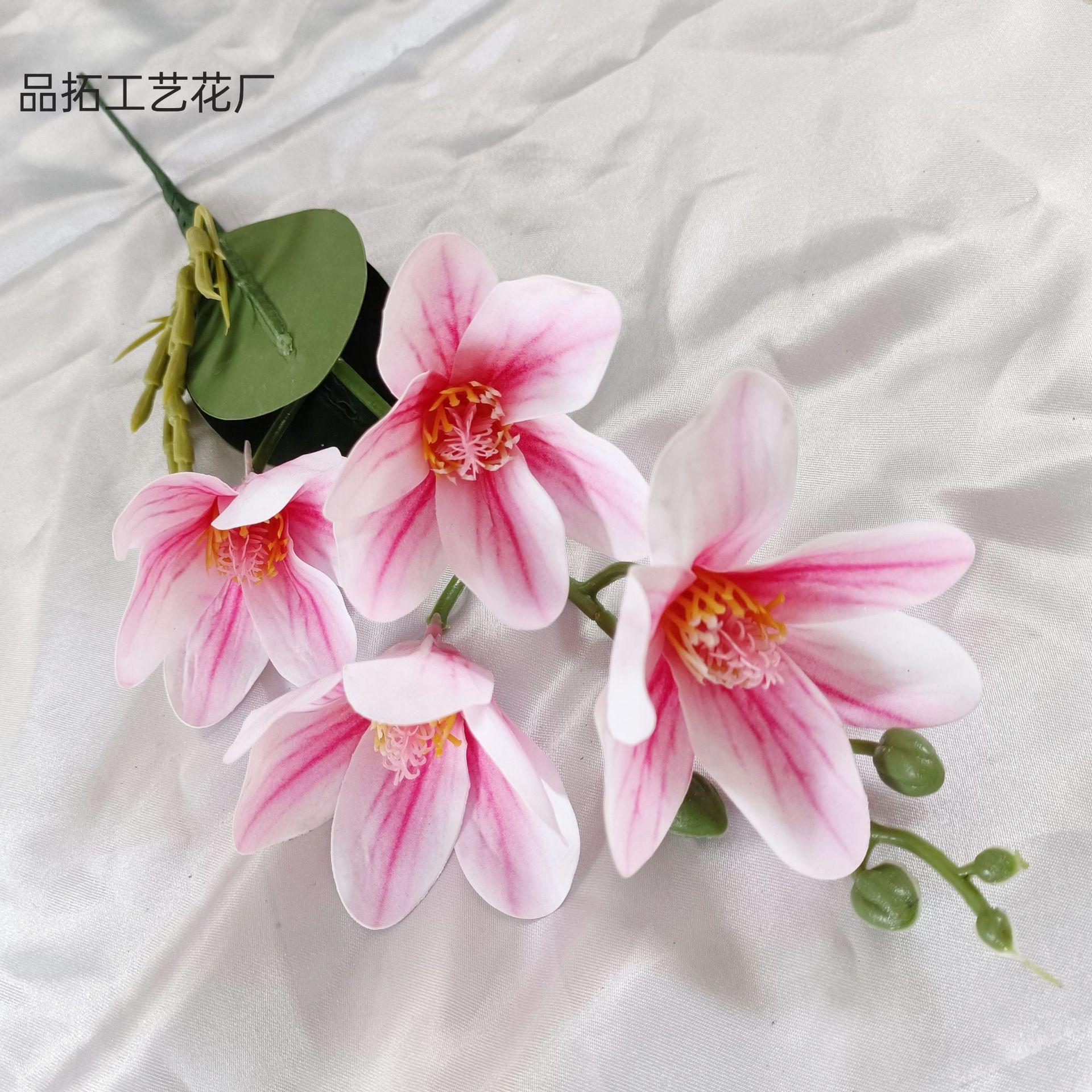 f9945b12044d5863834ef1f955bd31