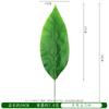 Folhas de Ferro Brasileiras Simuladas, Folhas de Gengibre do Sul, Folhas de Tartaruga Únicas, Plantas Verdes, Folhas de Magnólia Douradas, Acessórios de Seda, Decorações de Casamento