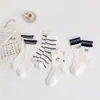 Calcetines de Niña Verano Finos Transpirables de Malla Estilo Coreano Encaje de Gato Niña Pequeña Lindos de Media Pantorrilla