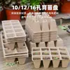 Venda direta do fabricante: Copos Descartáveis Espessos de Polpa de Papel para Mudas, Vasos de Polpa de Papel, Vasos Ecológicos e Biodegradáveis para Suculentas, Vegetais e Flores