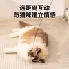 Juguete de Caña Larga para Gatos CFA Grado Competencia, Juguete para Gatos Insecto Volador Pequeño Cabezal de Repuesto de Pluma Resistente a Mordiscos Suministros para Gatitos Entretenimiento Propio para Gatos