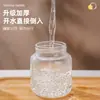 Copo de Água Portátil, Copo Shaker de Vidro Borossilicato Alto, Copo Fofo e Gordinho, Copo de Água de Vidro Resistente a Altas Temperaturas, Garrafa de Vidro para Aveia com Escala