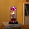 Oso de Rosa Transfronterizo con Cúpula de Cristal Flor Preservada Regalo de San Valentín Ramo con Luz LED Regalo de Cumpleaños Adorno Decorativo
