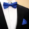 Conjunto de Gravata Borboleta e Lenço de Cor Sólida com Listras para Homens, Acessórios de Terno de Negócios de Alta Qualidade, Gravata Borboleta em Estoque