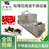 Equipo de Secado por Microondas Tipo Túnel para Rosas Secador de Flores por Microondas Equipo de Vegetación Gardenia