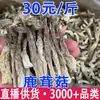 Hongos de asta secos, Hongos de asta jóvenes, Hongos de asta al por mayor comerciales, Versión de comercio electrónico de Hongos de asta, Venta al por mayor de Hongos de asta