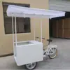 Triciclo de Sorvete Alimentado por Energia Solar, Carrinho de Bebidas Geladas para Feira ao Ar Livre, Bicicleta Móvel de Venda de Sorvete para Áreas Sem Eletricidade