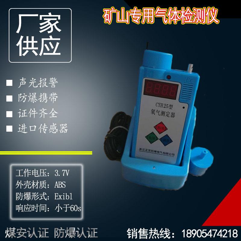 CYH25氧气测定器 (2)