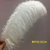 Plumas de Avestruz Reales 10-80CM Blancas Decoraciones para Pasillo de Boda Centros de Mesa Plumas de Avestruz DIY Accesorios Decorativos de Plumas Plumas Grandes