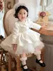 Festa de Primeiro Aniversário Infantil Vestido Pequeno 2026 Novo Estilo Cetim para Meninas Elegante Bebê Menina Manga Longa Vestido Princesa Atacado