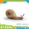 Simulação transfronteiriça modelo de réptil caracol jardim paisagem de jardim decoração estática mesa de areia decoração de mesa brinquedo