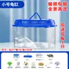 Tanque para Tortugas con Plataforma para Tomar el Sol, Tanque de Plástico para Cría de Tortugas para Uso Doméstico, Caja Portátil Pequeña para Tortugas Mascotas con Tapa, Contenedor de Alimentación