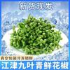 Pimiento de Vid Fresco de Sichuan Chongqing, Pimienta Verde de Sichuan de Chongqing, Pimienta Fresca Envasada al Vacío Fresca 350g, Pimienta de Sichuan Grado Comercial