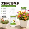 Solución nutritiva para girasol, no requiere dilución, tipo spray directo. Promueve el crecimiento, previene el crecimiento excesivo y el encamado. Fácil de usar para principiantes, adecuado para cultivar girasoles en balcones