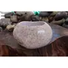 Macetas Pequeñas de Inspiración Zen, Macetas de Piedra, Macetas para Suculentas, Macetas para Juncos, Macetas para Hierba del Dinero, Macetas de Piedra Natural para Acuarios, Macetas Creativas para Narcisos