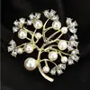 Broche Hebilla para Bufanda Broche con Incrustaciones de Perlas y Pedrería Estilo Coreano Broche de Gama Alta Nicho Accesorio para Abrigo Pines Accesorios al por Mayor