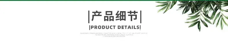 8525d2cad25103d44d54f1a97343e1