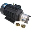 Conjunto de Motor de Bomba de Engranajes Plug-In, Bomba Hidráulica de Motor de Enchufe Directo, Estación de Bomba de Motor de Bomba de Aceite Vertical y Horizontal de 380V