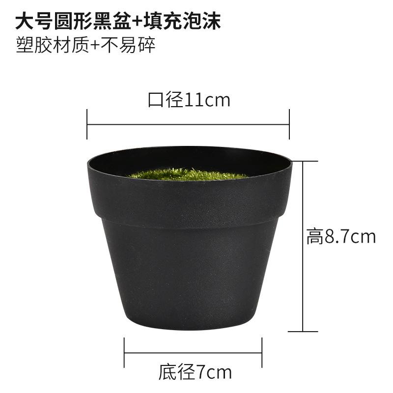 大号圆形黑盆+填充泡沫