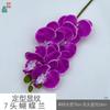 Padrão de modelagem 7 cabeça Phalaenopsis cola sentir Phalaenopsis estúdio fotográfico adereços flor de simulação janela bonita Chen