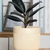 Vasos de Flores Cerâmicos para Varanda Uso Doméstico, Tamanhos Grande e Pequeno, Vasos de Cerâmica para Phalaenopsis, Clorofito, Monstera e Rosa, com Desenhos Pintados